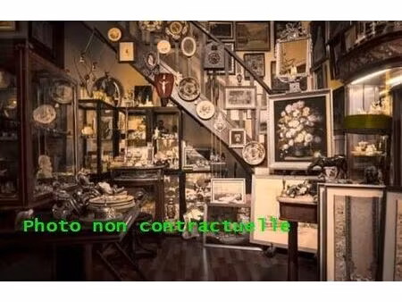 vente commerce 207 m² aix-les-bains (73100)