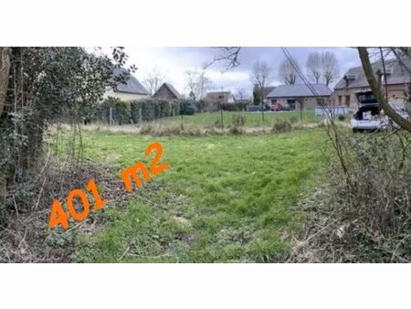 terrain constructible