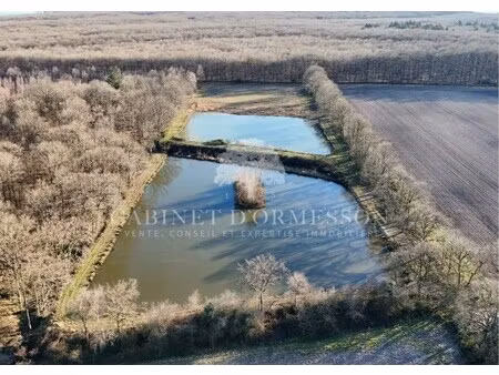 propriété à vendre à neuvy-sur-barangeon