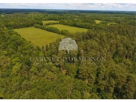 propriété et domaine de chasse à vendre à theillay