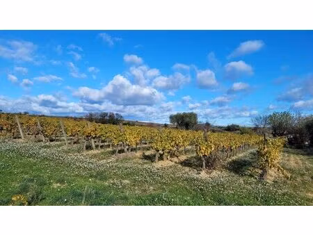 achat : maison (34480)