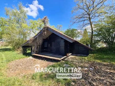 achat : maison (74250)