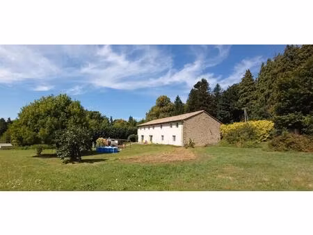 grande maison avec grand terrain