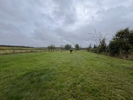 vente terrain 1738 m² nouzilly (37380)