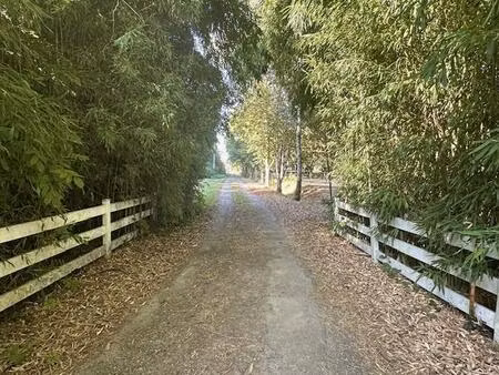 ancien moulin au bord de la rivière avec habitation et gîte indépendant sur 7 hectares