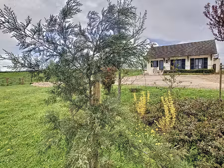 maison - dependances - terrain 6000m²