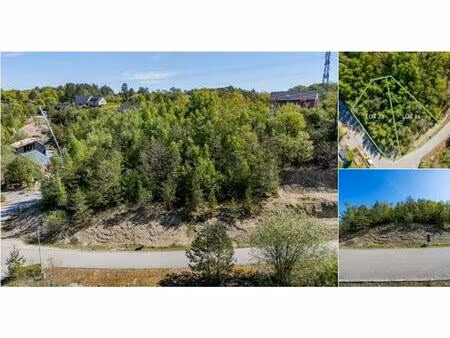 terrain à bâtir à vendre à rue des primevères barvaux-sur-ourthe (vbc73398)