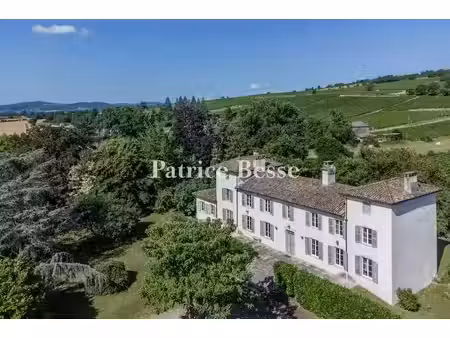 vente maison 10 pièces 330 m² à tournus (71700)  840 000 €