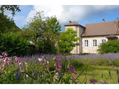 petit chateau de vevy