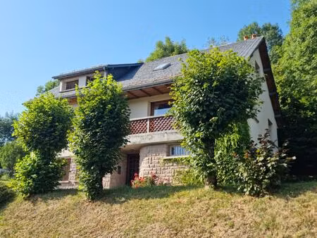 un ensemble maison et appartement au coeur des volcans d'auvergne en france
