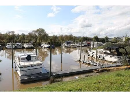 chalet avec amarrage privé sur la saône