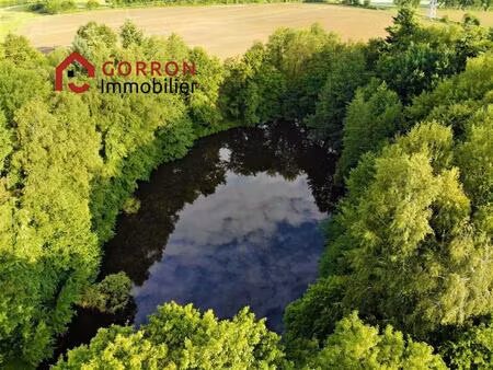 spacieuse maison avec étang et bois