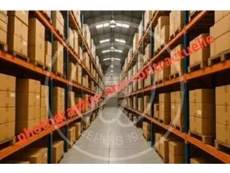 à louer depot à jarry