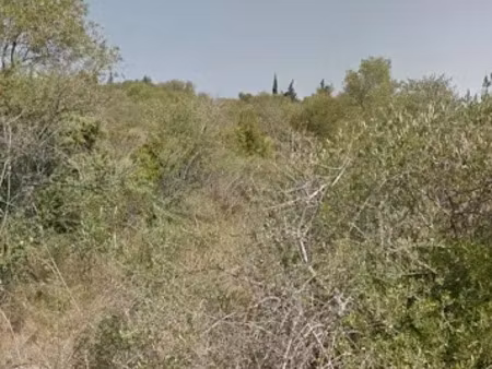 vente terrain 1296 m² à la palme (11480)  15 500 €