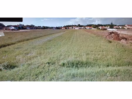 vente terrain 1406 m² à longeville-sur-mer (85560)  136 000 €