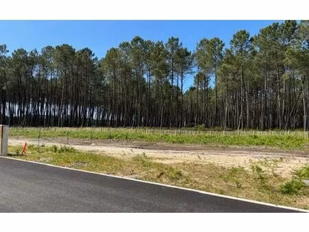 terrain lit-et-mixe m² t- à vendre  115 000 €