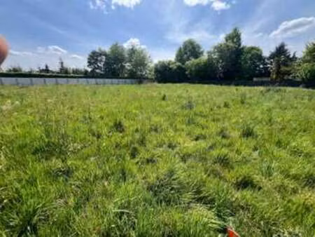 vente terrain à moncé-en-belin (72230) : à vendre / 1144m² moncé-en-belin
