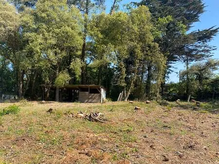 vente terrain à saint-hilaire-de-riez (85270) : à vendre / 930m² saint-hilaire-de-riez