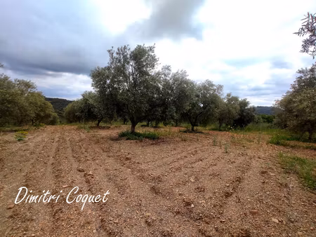 achat terrain 8 000m² pezenas 34120