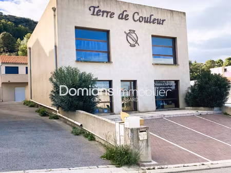 achat local professionnel 220m² port vendres 66660