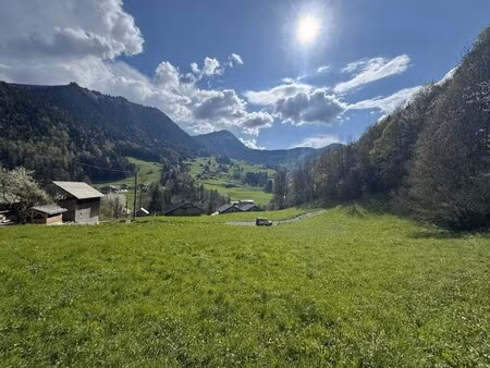 achat terrain 1 150m² abondance 74360