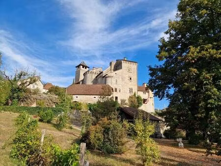 vente maison 15 pièces 540 m² salvagnac-cajarc (12260)