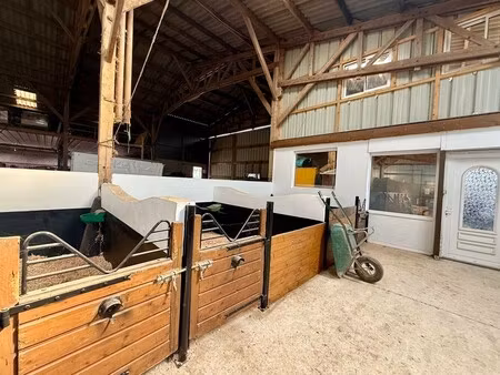 propriété équestre à vendre à roncherolles-en-bray