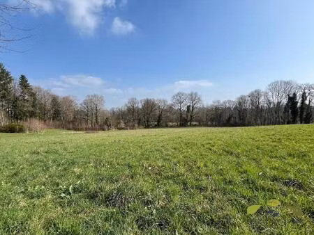 achat terrain 1 535m² royeres 87400