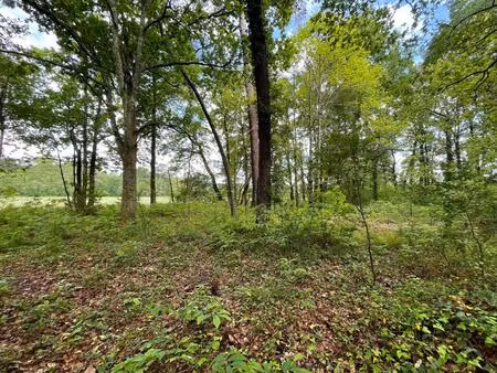 achat terrain 3 303m² st geours de maremne 40230