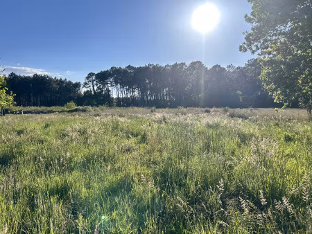 achat terrain 650m² tosse 40230
