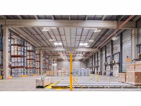 mions(69) - à louer - entrepôts à partir de 3 876 m²