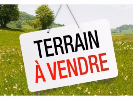 vente terrain 298 m² angles (85750)