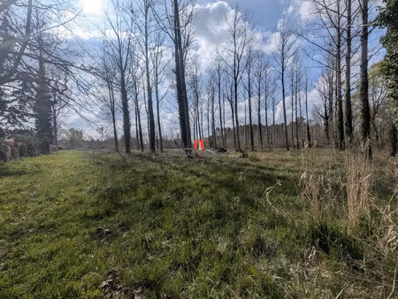 terrain constructible