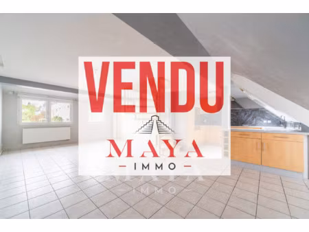 achat appartement 4 pièces 110m² waldighofen 68640