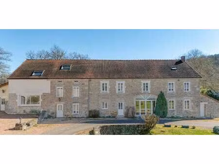 propriété avec jardin vievy (21)