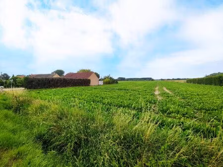 achat terrain 1 039m² aire sur la lys 62120