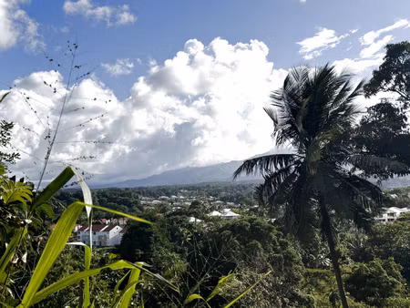 achat terrain 1 456m² petit bourg 97170