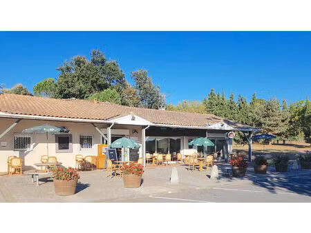 vente commerce 5 pièces 170 m² saint-aubin-de-blaye (33820)