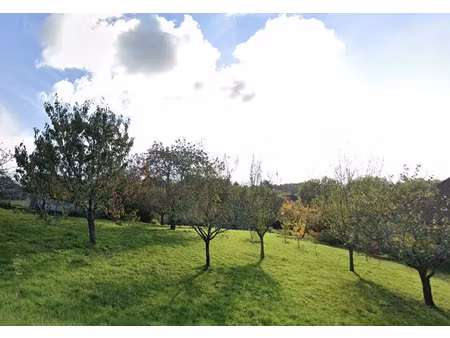 vente terrain 2469 m² saint-mexant (19330)