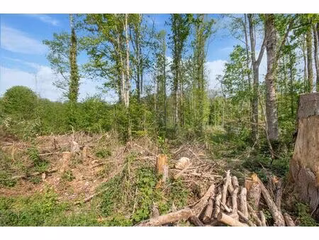 terrain à bâtir à vendre de 2884 m² à roly (vbc74227)