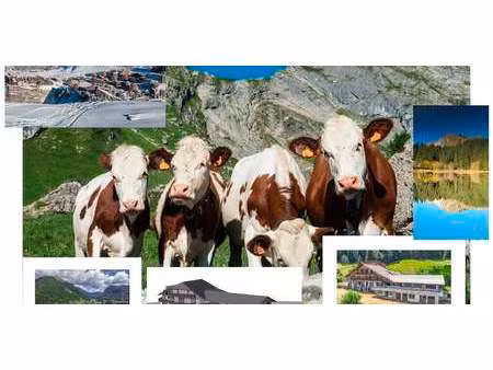 chalet avec vue panoramique et terrasse morzine (74)