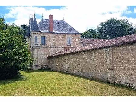 faye-la-vineuse - 37120 - manoir 370 m2 - 10 chambres - gîte 160