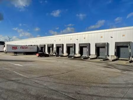 entrepôt à louer à willebroek