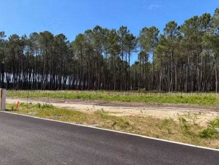 vente terrain 602 m² à vielle-saint-girons (40560)  117 000 €