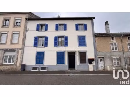 vente immeuble 456 m² la vôge-les-bains (88240)