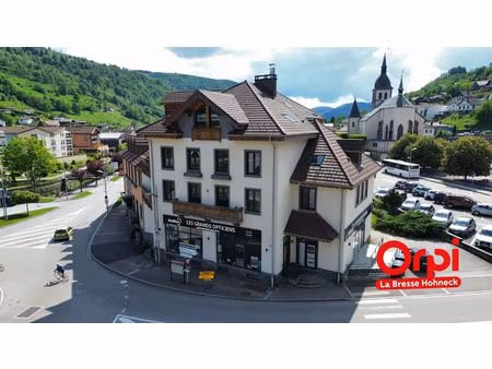 vente locaux professionnels 240 m² à la bresse (88250)  420 000 €