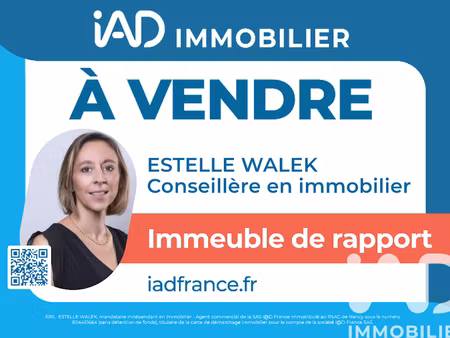 vente immeuble 108 m² à dombasle-sur-meurthe (54110)  122 000 €