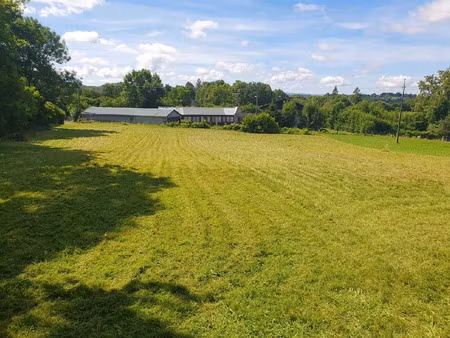 vente terrain 3280 m² bagnols (63810)