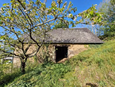 vente maison 1 pièce 78 m² à dampniat (19360)  46 000 €