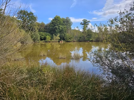 achat terrain 13 924m² montsauche les settons 58230